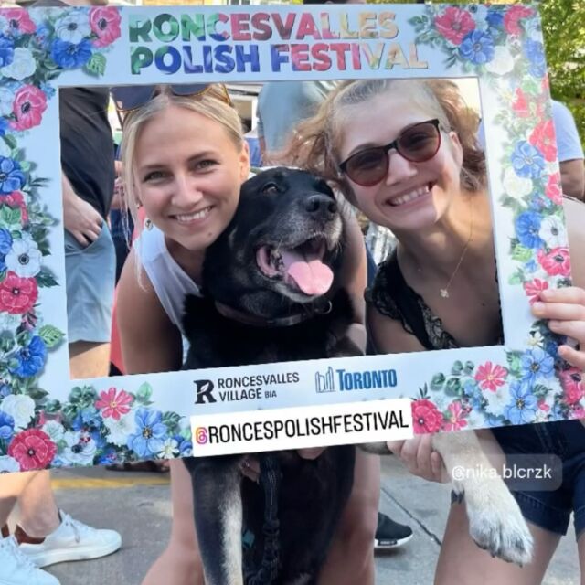 We’re loving all of your photos from the Roncesvalles Polish Festival! 🇵🇱 

Thank you to everyone who came out and celebrated with us.

It’s so great to see everyone having a fantastic time. 

What were your favorite moments? 

Don’t forget to tag us in your posts and stories!

.....⁠
The Roncesvalles Polish Festival is funded and managed by the Roncesvalles Village BIA. For more information on the festival and how to participate, visit www.polishfestival.ca

#roncesvallesvillage #roncesvillage #roncyrocks #roncesvallespolishfestival #torontofestivals #torontofestival #roncesvallespolishfestival2024 #toronto #roncypolishfest